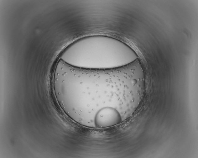 X0000111480346200907141047