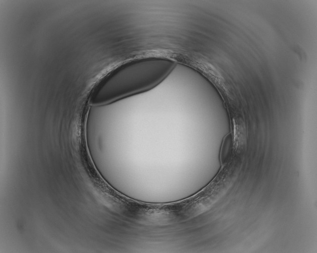X0000111480348200907141047
