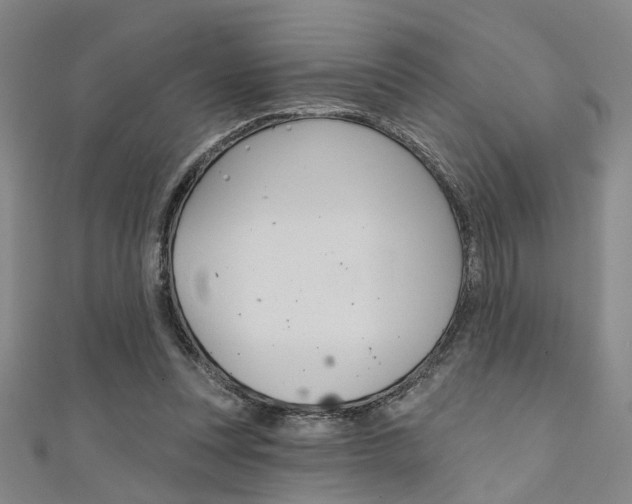 X0000111480351200907141047