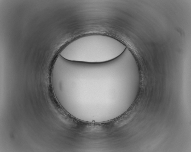 X0000111480354200907141047