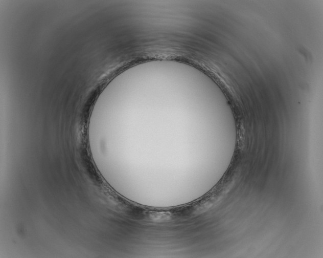 X0000111480355200907141047