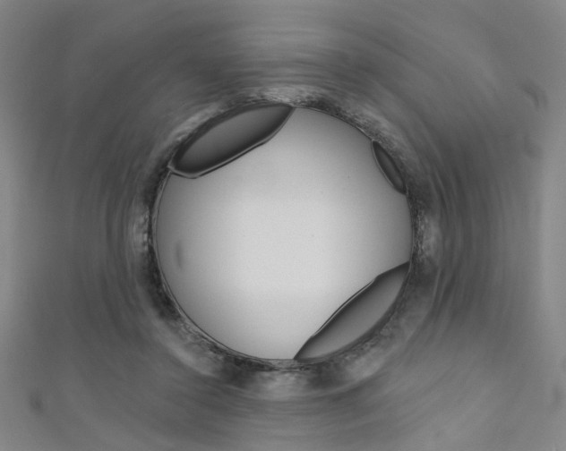 X0000111480356200907141047