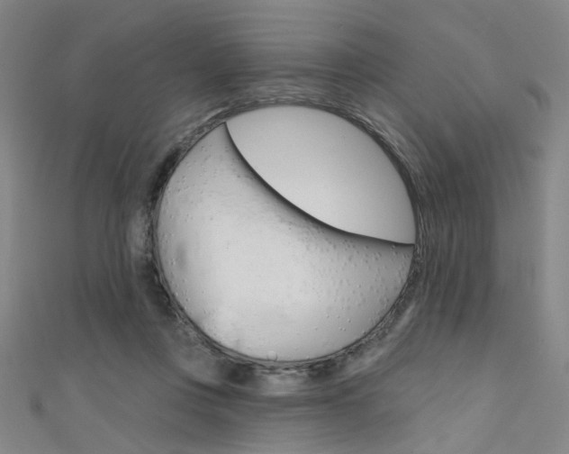 X0000111480359200907141047