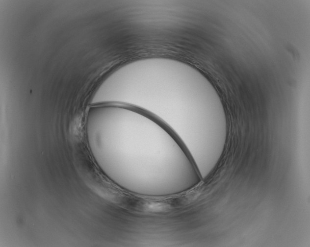 X0000111480360200907141047