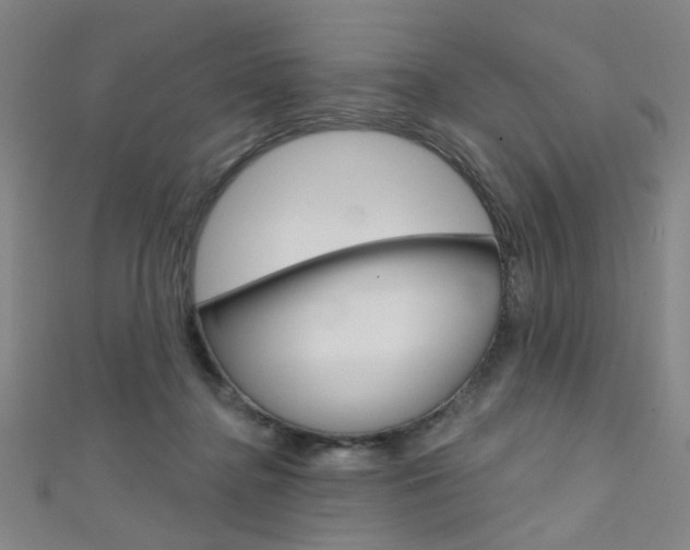 X0000111480364200907141047