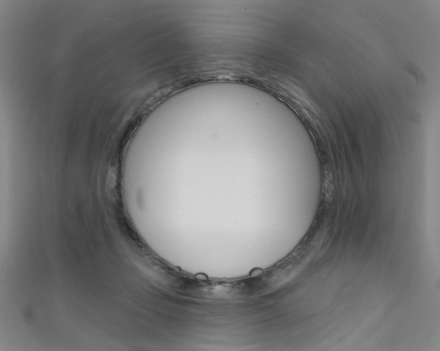 X0000111480365200907141047