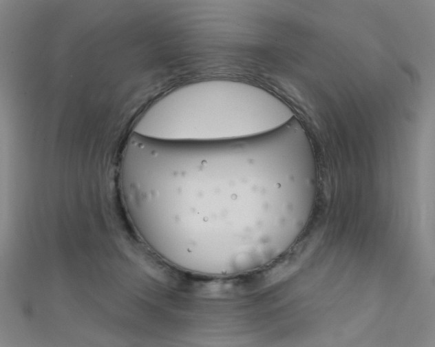 X0000111480366200907141047