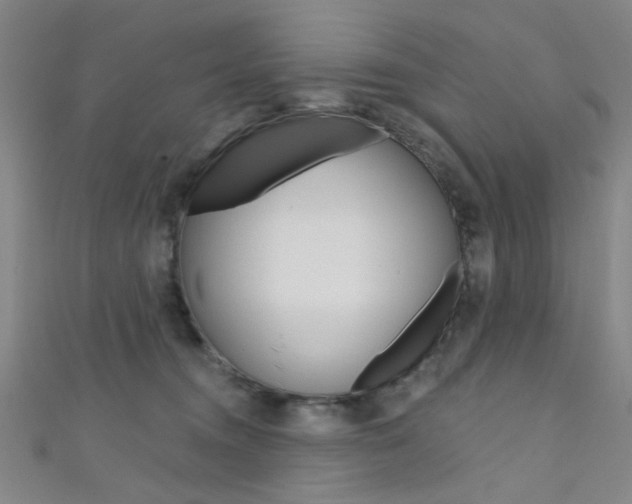 X0000111480372200907141048