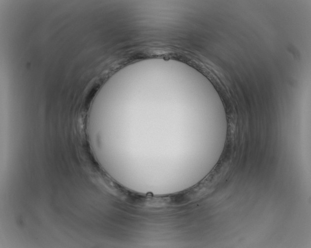 X0000111480373200907141048