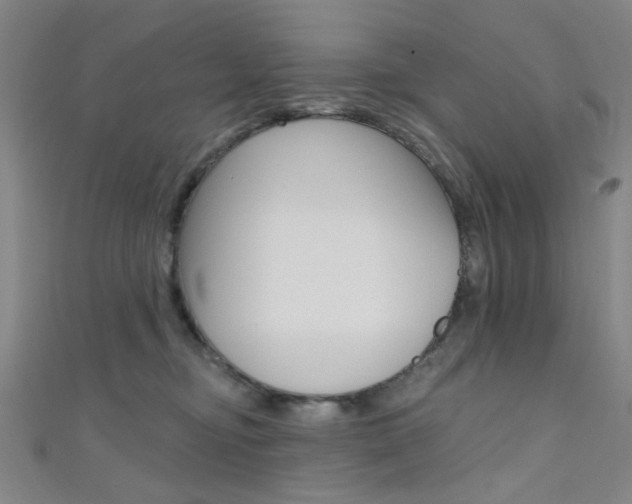 X0000111480374200907141048