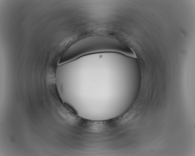 X0000111480384200907141048