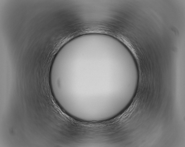 X0000111480385200907141047