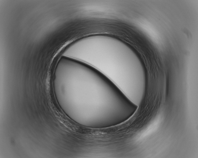 X0000111480387200907141047