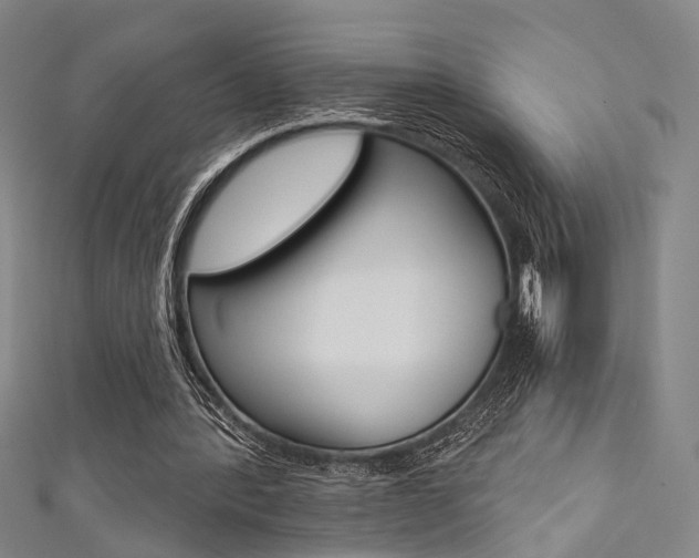 X0000111480388200907141047