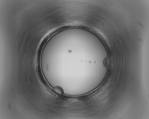 X0000111480392200907141047