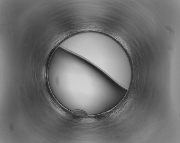 X0000111480397200907141047