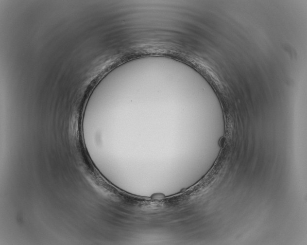 X0000111480398200907141047