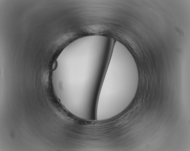 X0000111480404200907141047