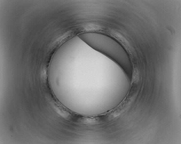 X0000111480405200907141047
