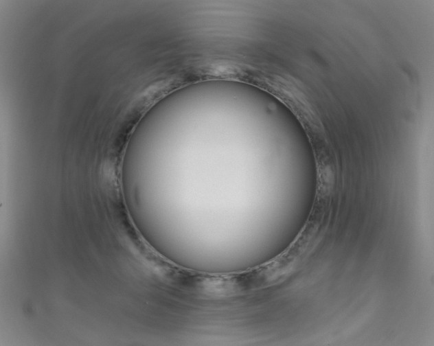 X0000111480415200907141047