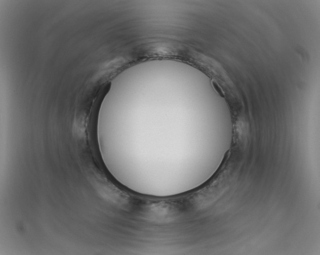 X0000111480423200907141047