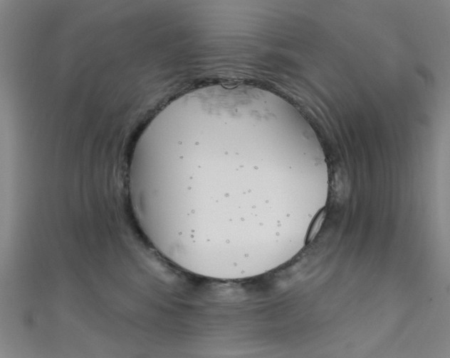 X0000111480424200907141047