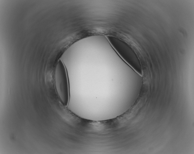 X0000111480425200907141047