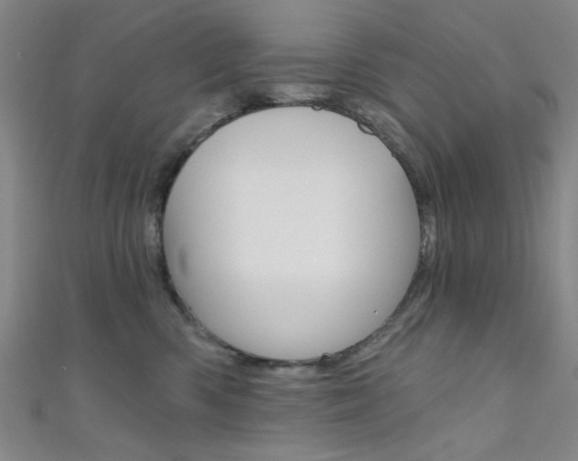 X0000111480426200907141047