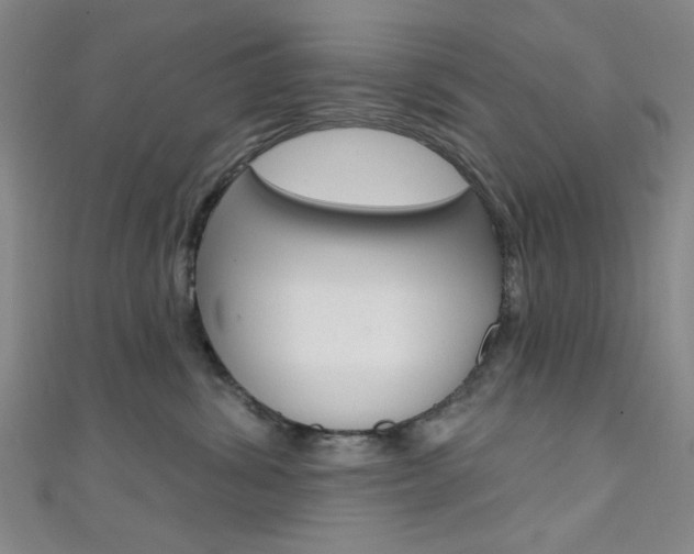 X0000111480428200907141047