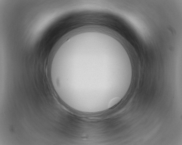 X0000111480431200907141047