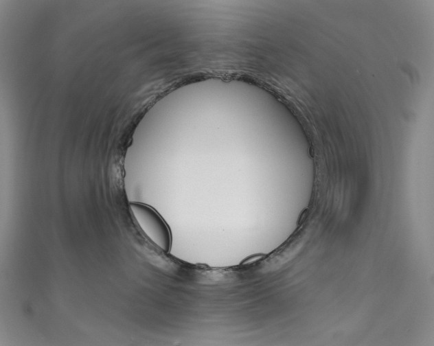 X0000111480432200907141047