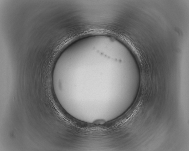 X0000111480433200907141046