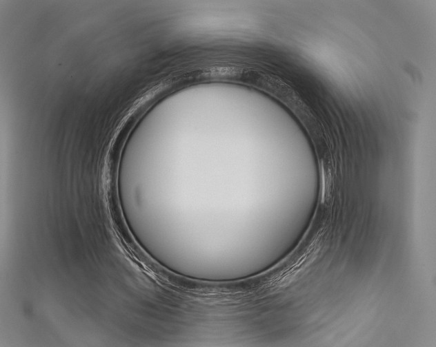 X0000111480435200907141046