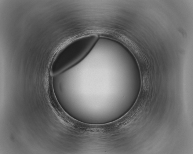 X0000111480436200907141046