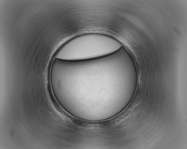 X0000111480438200907141046
