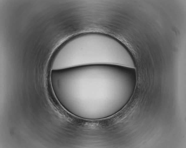 X0000111480440200907141046