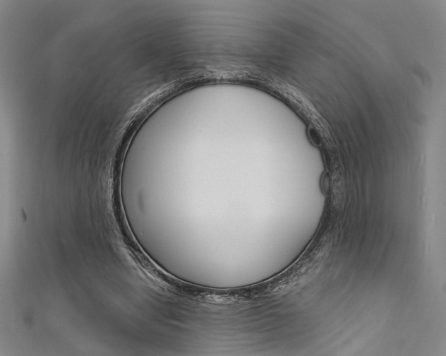 X0000111480442200907141046