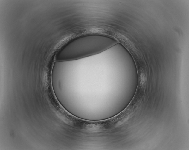 X0000111480444200907141046