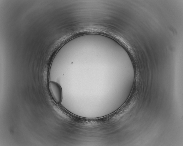 X0000111480445200907141046