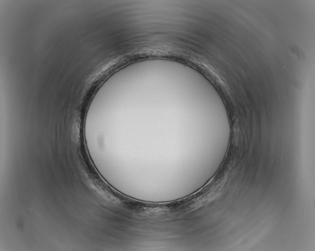 X0000111480446200907141046