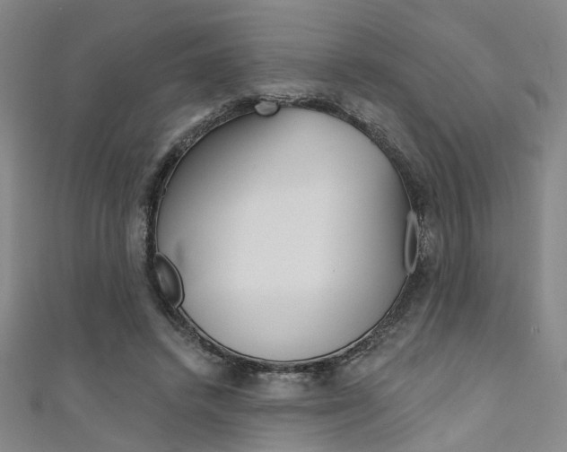 X0000111480448200907141046