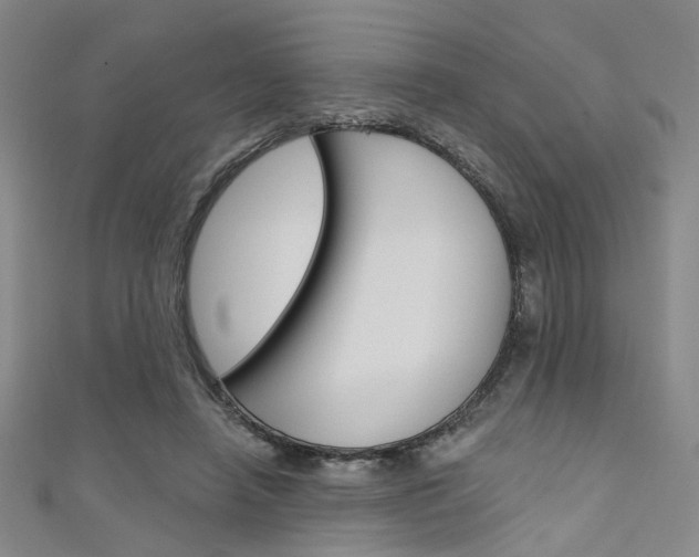 X0000111480450200907141046