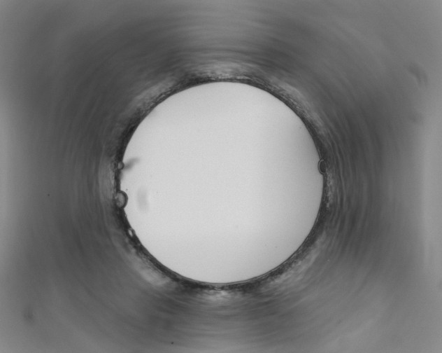 X0000111480453200907141046