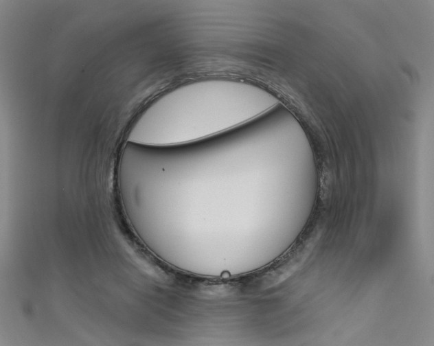 X0000111480454200907141046