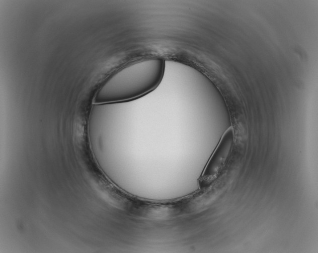 X0000111480456200907141046