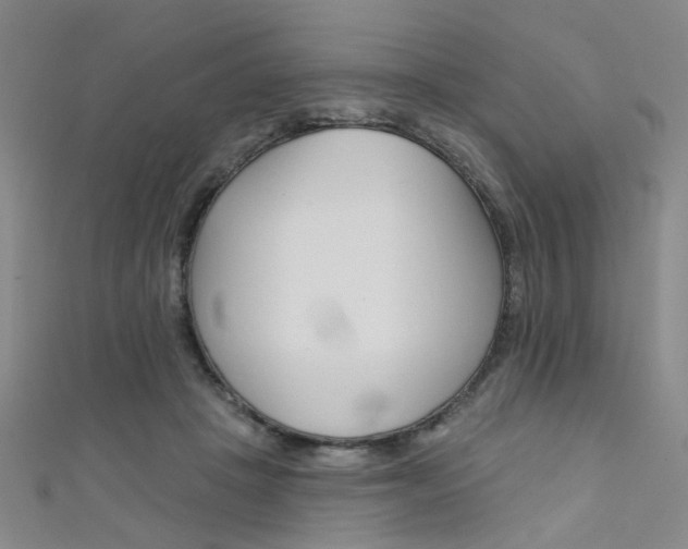 X0000111480457200907141046
