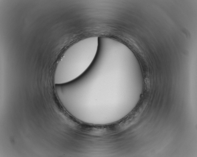 X0000111480458200907141046
