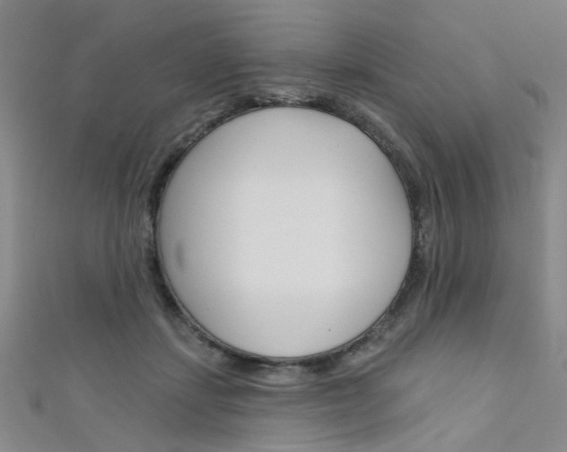 X0000111480459200907141046