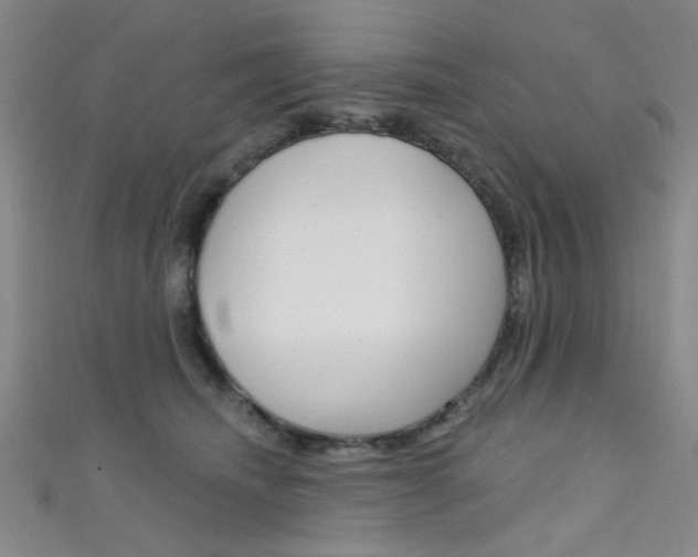 X0000111480468200907141046