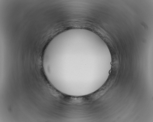 X0000111480469200907141046